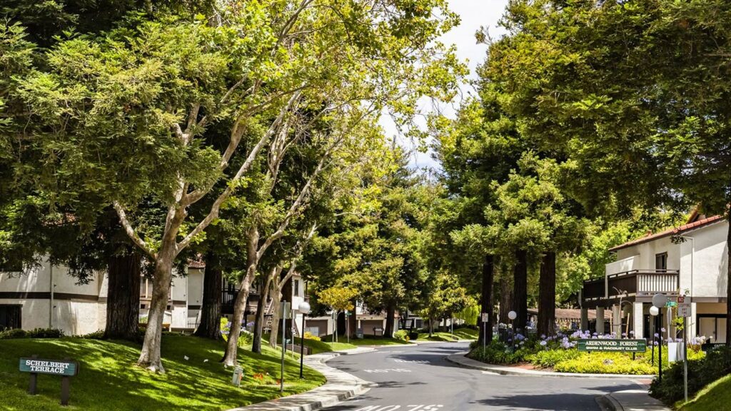 Ardenwood Forest property grouns